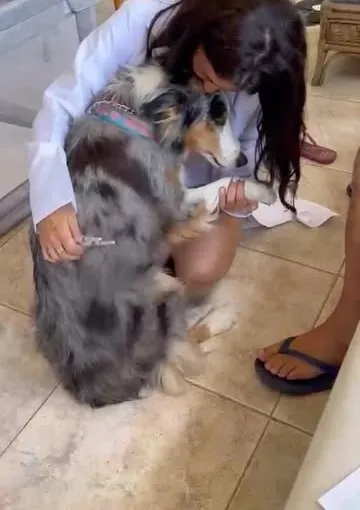 Dra. Nathalie abraçando um cão de pelagem malhada
